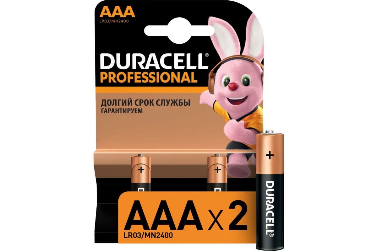 Батарейка Duracell AAA LR03 Alkaline Professional MN2400 BL2 , 2шт.