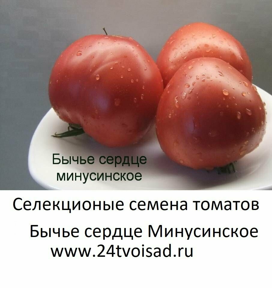 Томат Бычье сердце Минусинское семена