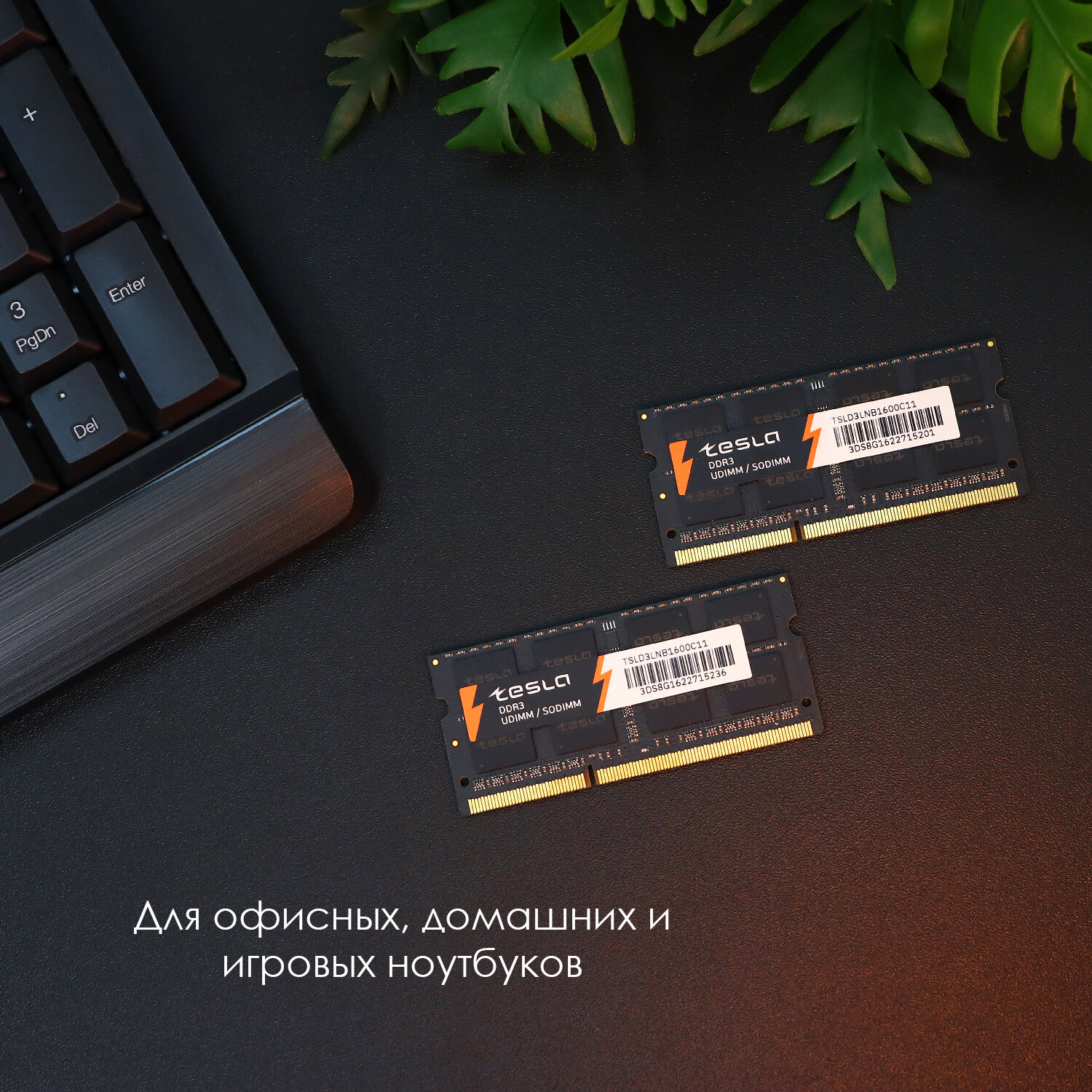 Память TESLA DDR3 SODIMM 4Гб, 1600МГц, CL11, Retail