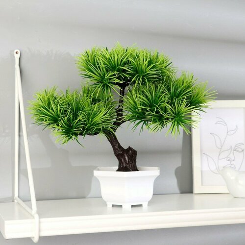 Frau Liebe Бонсай в горшке Агава прямая 27х25 см микс 1181₽