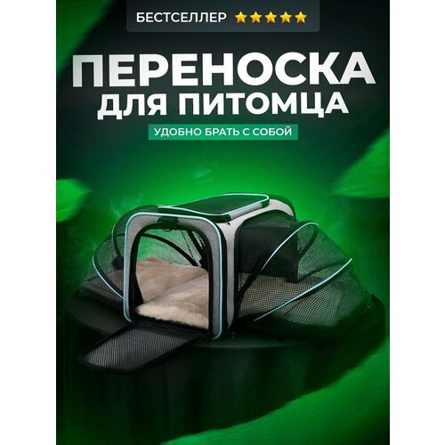 Переноска для питомцев сумка переноска triol для кошек и собак l