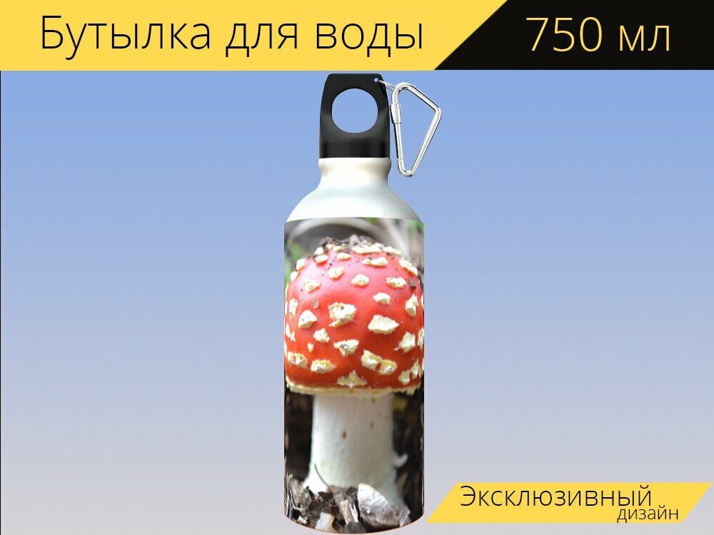 Бутылка фляга для воды "Мухоморов amanita muscaria, гриб, красный" 750 мл. с карабином и принтом