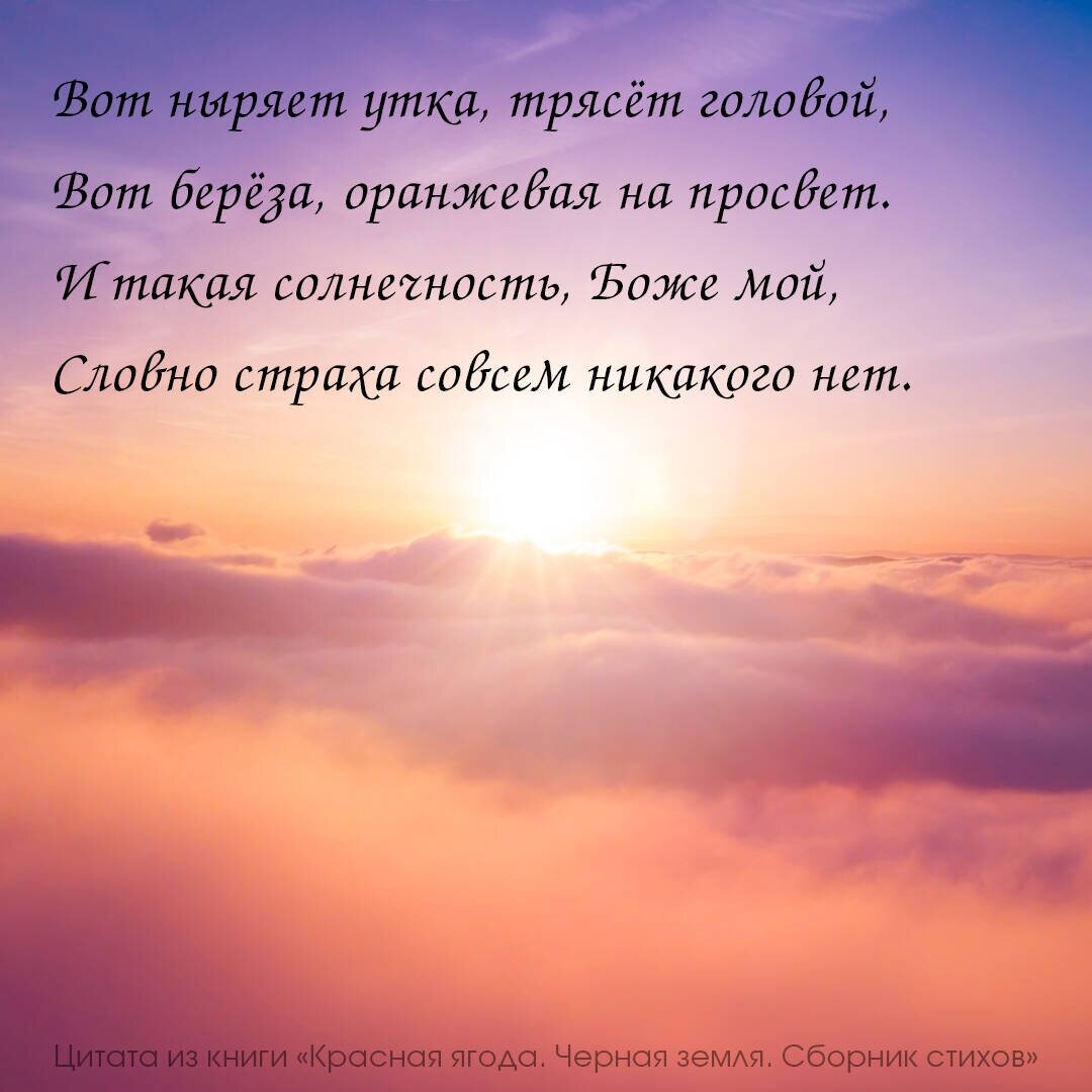 Красная ягода. Черная земля. Сборник стихов - фото №11