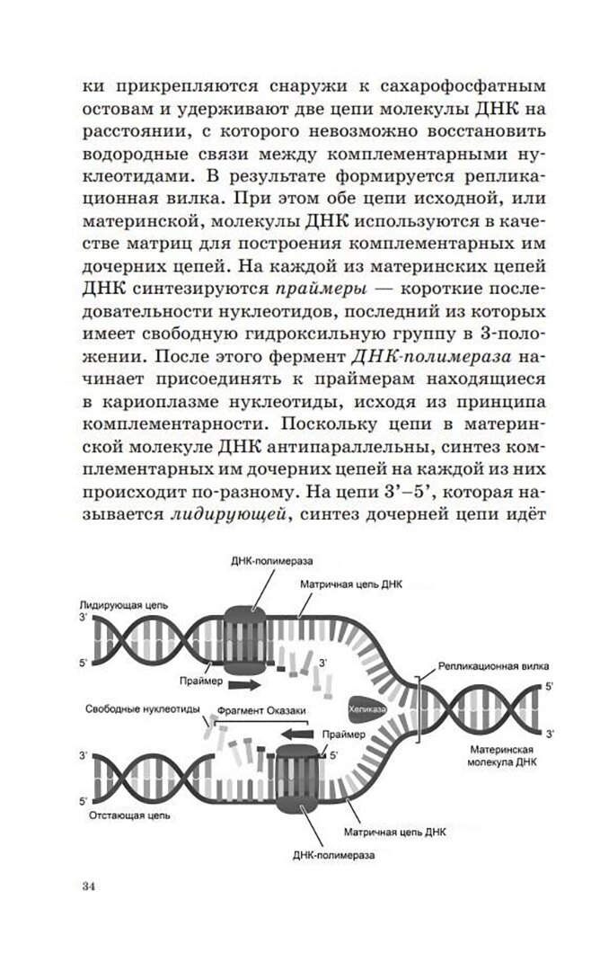 ОГЭ. Биология. Новый полный справочник для подготовки к ОГЭ - фото №2