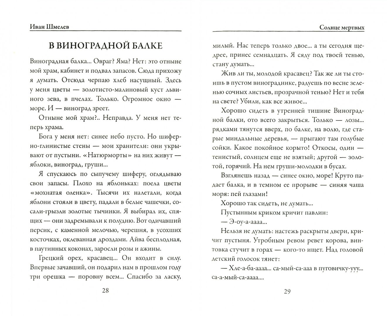 Солнце мертвых (Шмелев Иван) - фото №3