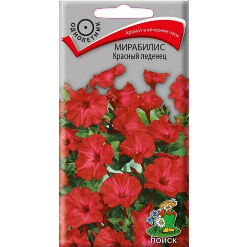 Мирабилис Красный леденец (ялапа) цв. п 1г