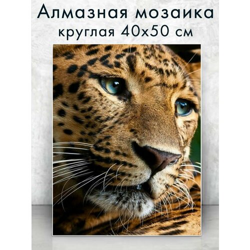 Алмазная мозаика (круглая) Леопард 40х50 см