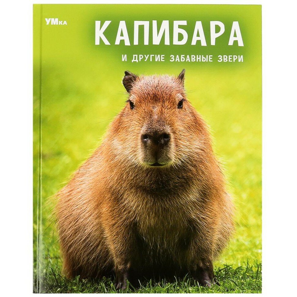 Козырь Анна. Капибара и другие забавные звери. Энциклопедия
