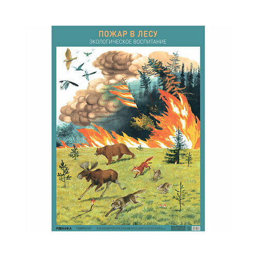 книги для родителей мозаика синтез экологическое воспитание конспекты занятий к парциальной программе юный эколог 6 7 лет Плакат. Пожар в лесу