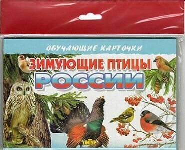 ОбучающиеКарточки Зимующие птицы России (16 карточек) (в пакете) (Литур)