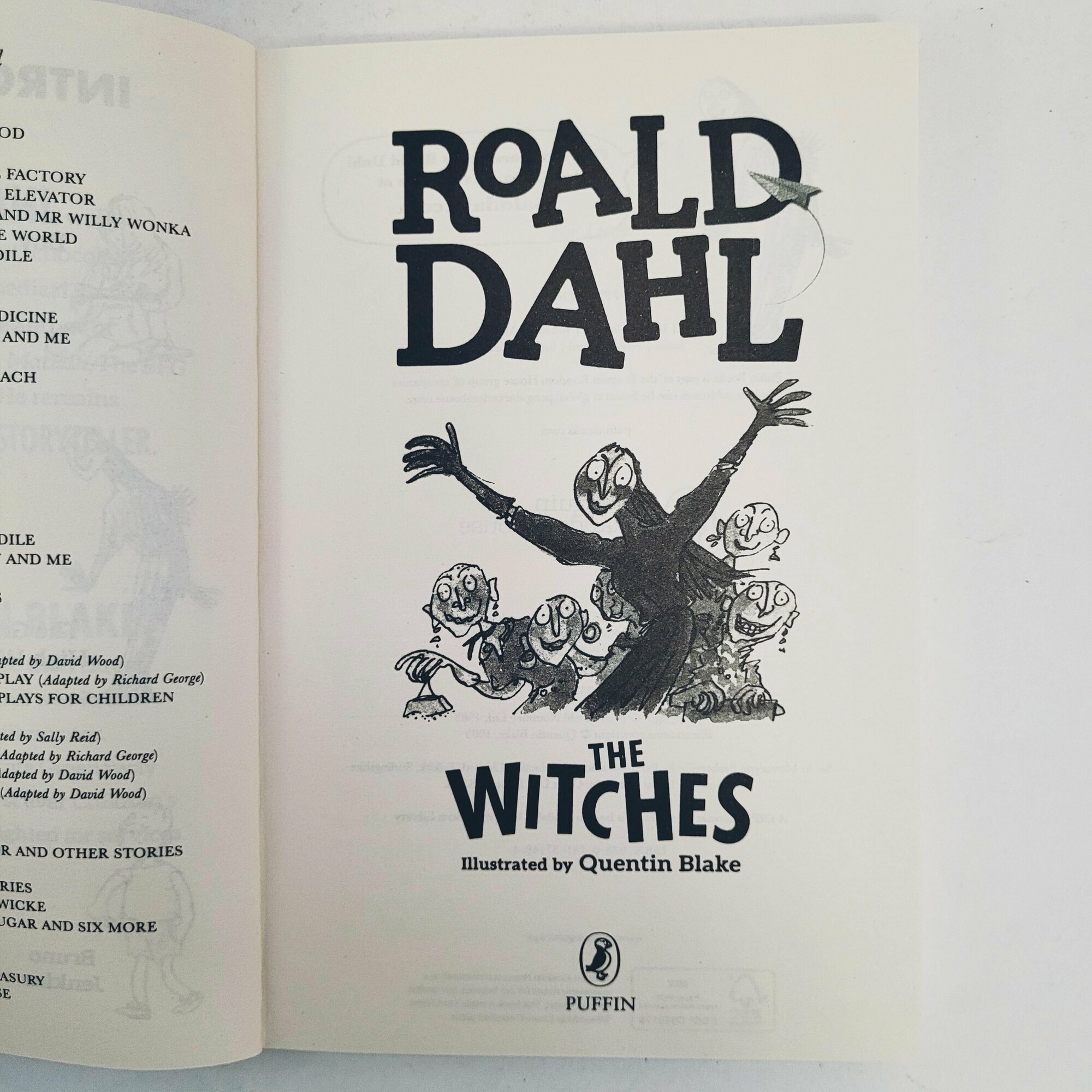 The Witches (Roald Dahl) - фото №6