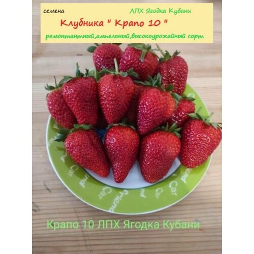 Клубника " Крапо10" семена 30 шт.