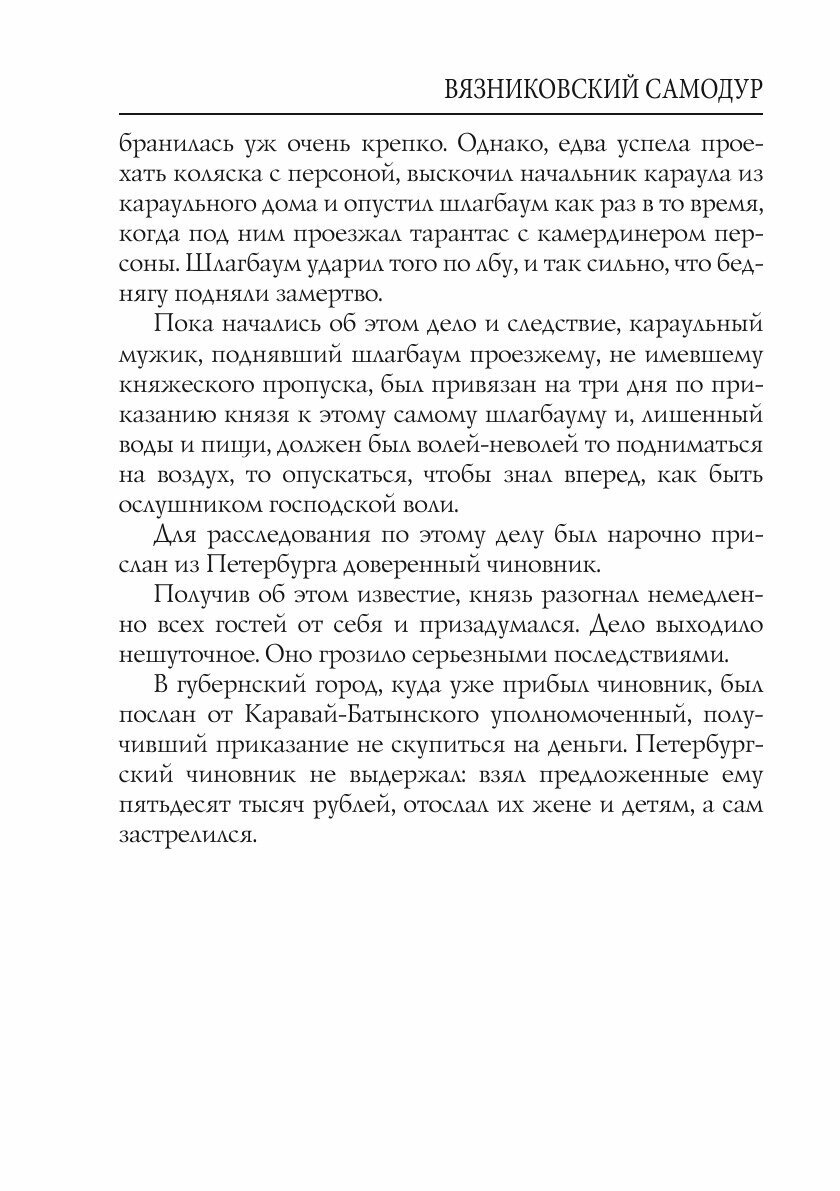 Книга Вязниковский самодур (Михаил Волконский) - фото №9