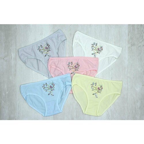 фото Трусы donella, размер 110-116, мультиколор