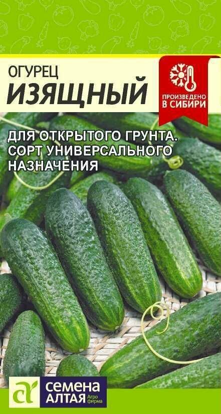 Огурец Изящный/Сем Алт/ 05г