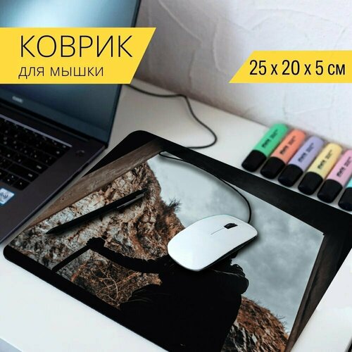 Коврик для мыши с принтом Кредо убийцы, дань кредо ассасина, дань 25x20см.