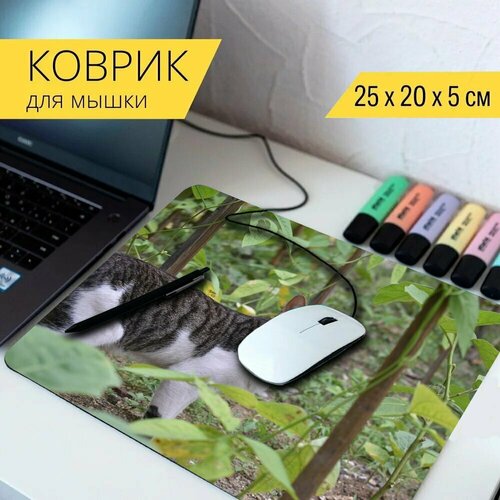 Коврик для мыши с принтом Кошка, животное, дикая кошка 25x20см.