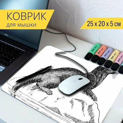 Коврик для мыши с принтом Выдра, калана, животное 25x20см. животное выдра