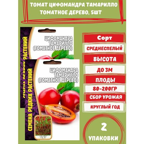 Семена Цифомандра Тамарилло (Томатное дерево),2 упаковки