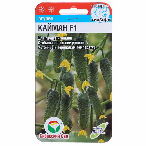 Семена Огурец Кайман F1, раннеспелый, 7 шт семена огурец кайман f1 раннеспелый 7 шт