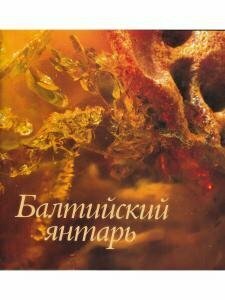 Балтийский янтарь. Альбом (Торопова И. А., Суворова Татьяна Юрьевна) - фото №7