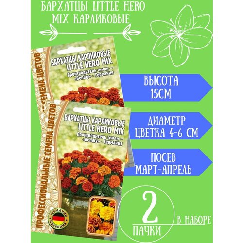 Семена Бархатцы Little Hero, 2 упаковки