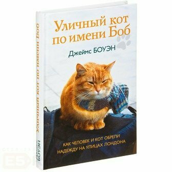 Уличный кот по имени Боб. Как человек и кот обрели надежду на улицах Лондона - фото №13