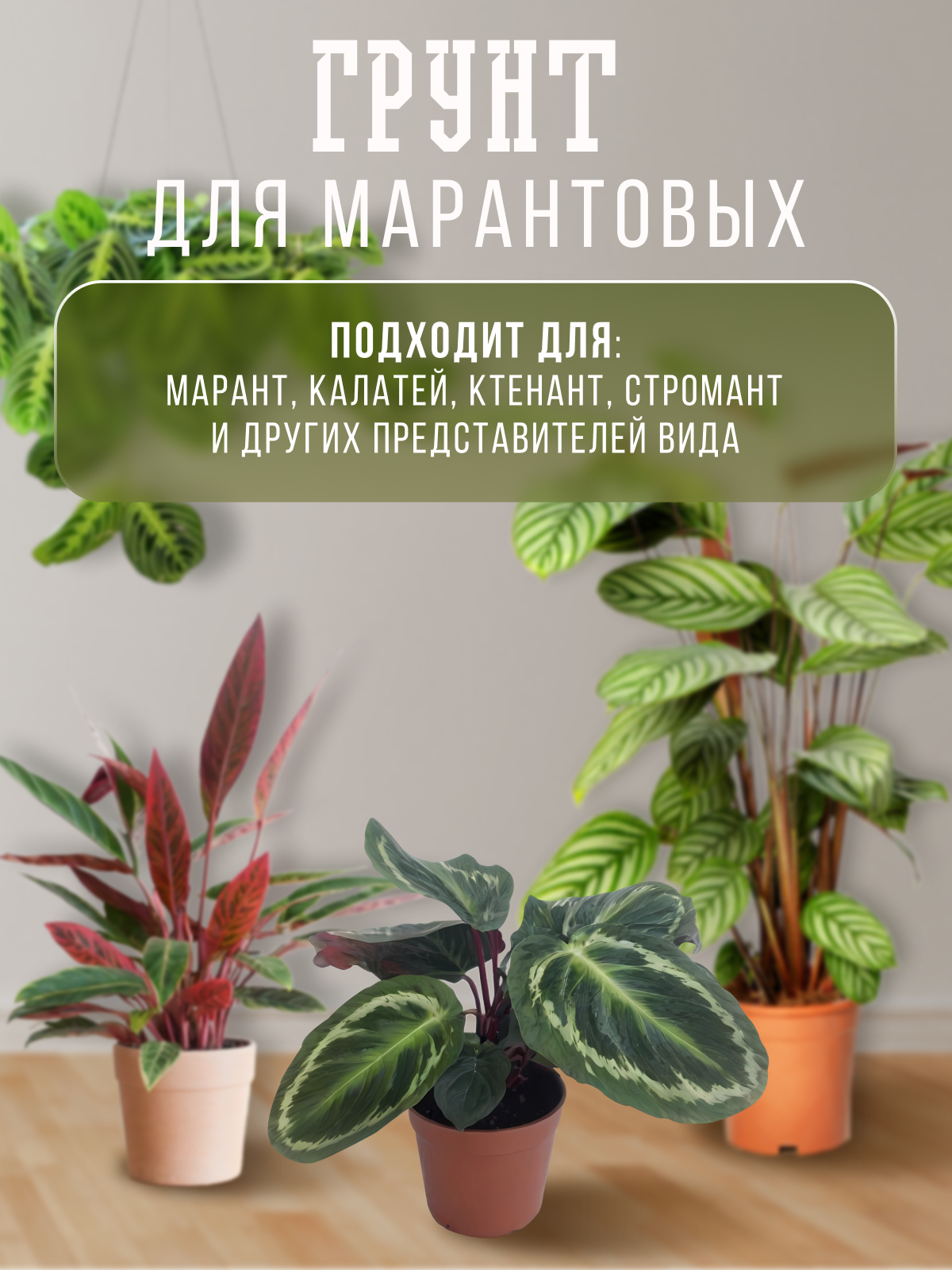 Изображение Грунт Среда обитания для марантовых: марант, калатей, ктенант, стромант, 5л