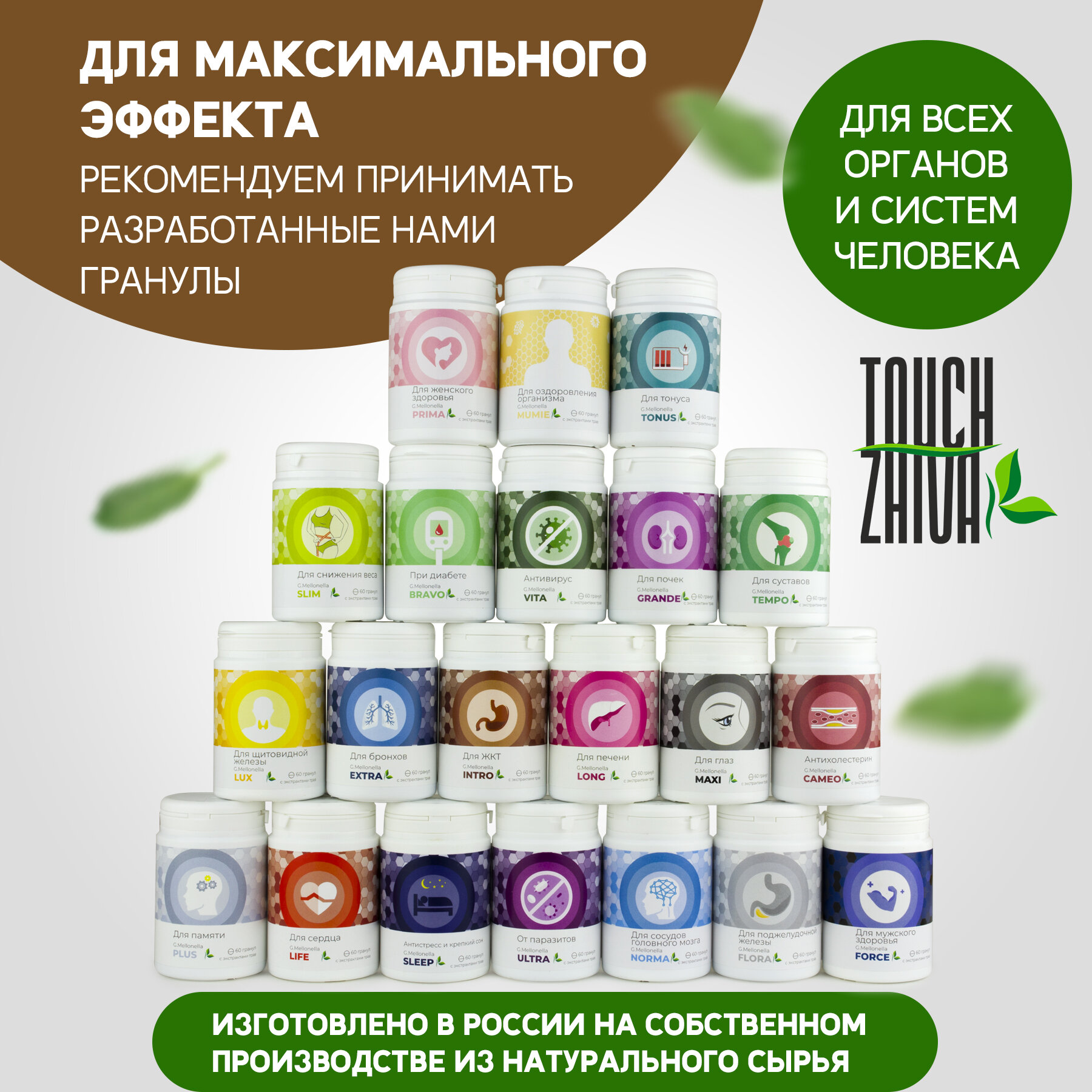 Гомеопатические Препараты Для Желудочно-Кишечного Тракта Огневка Интро - для желудочно кишечного тракта, для улучшения пищеварения, для ЖКТ 60 гранул.