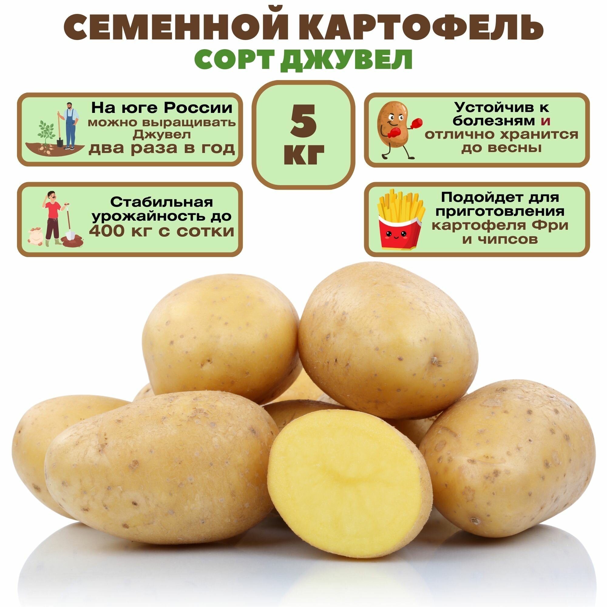 Картофель семенной Джувел, 5 кг, ранний урожайный сорт, долго хранится, обладает отличными вкусовыми качествами, не требует особых условий выращивания.