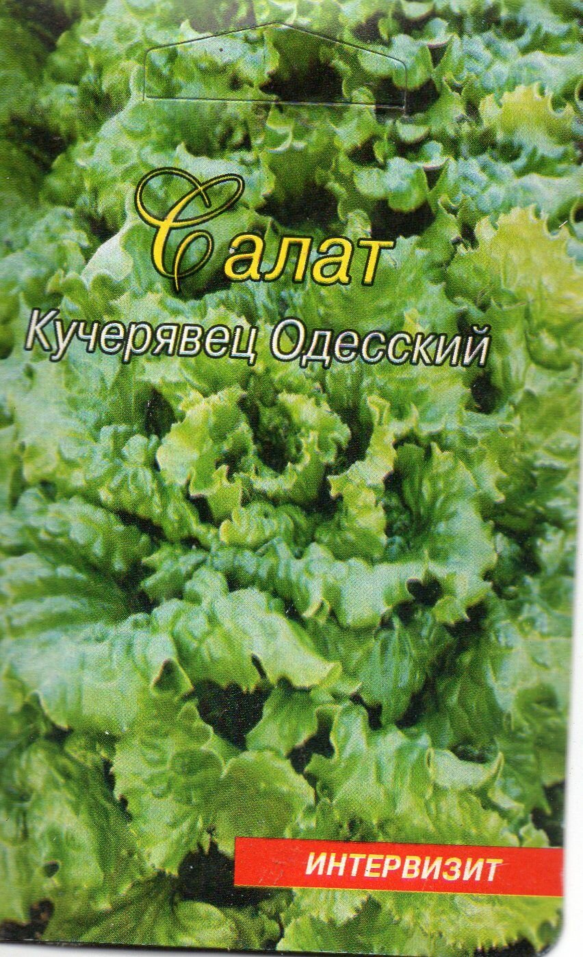 Семена Салат Кучерявец Одесский