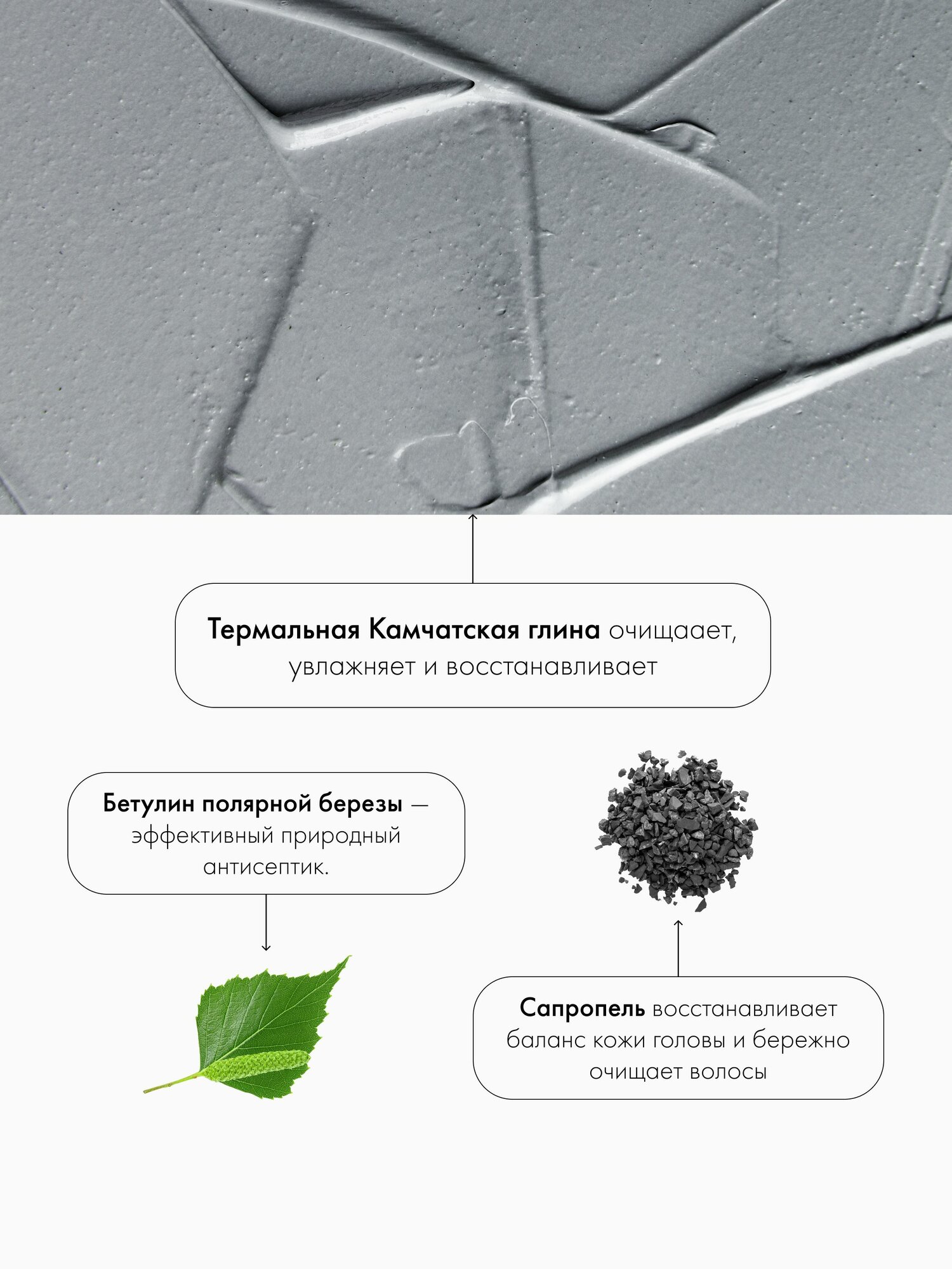 Скраб для кожи головы Natura Siberica hair evolution DETOX очищающий укрепляющий, активатор роста волос 150 мл — фото 1