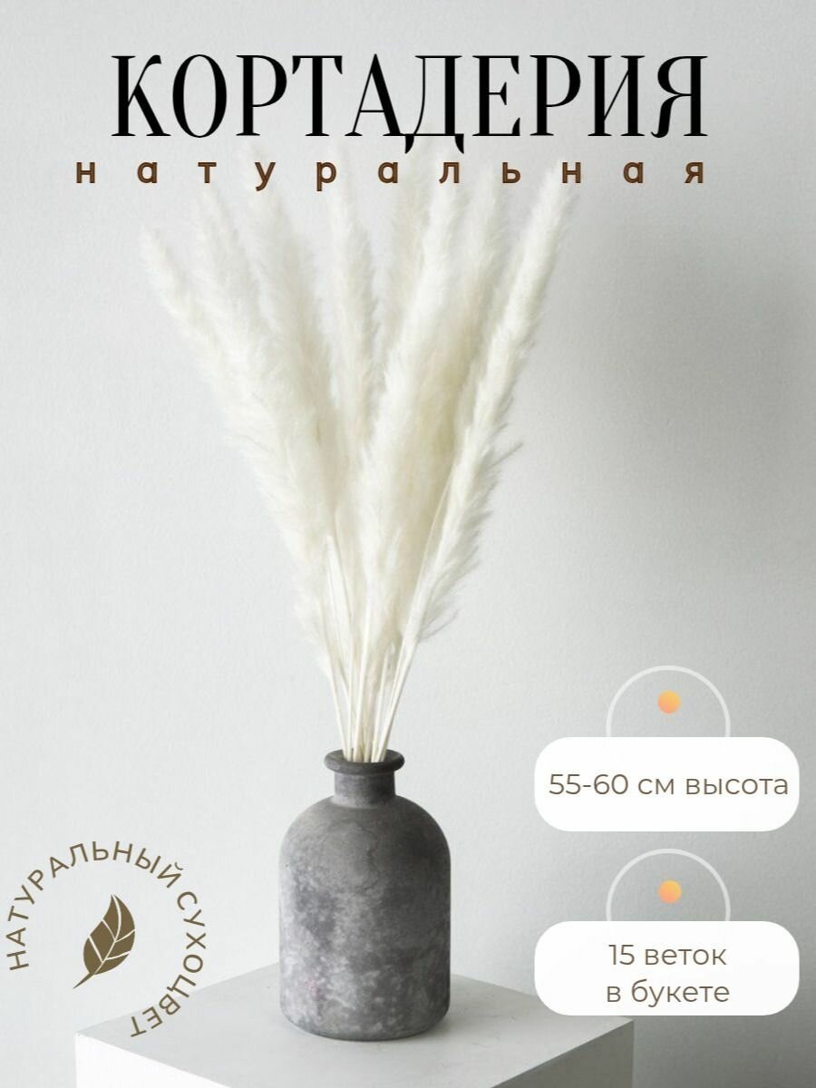 Сухоцвет 