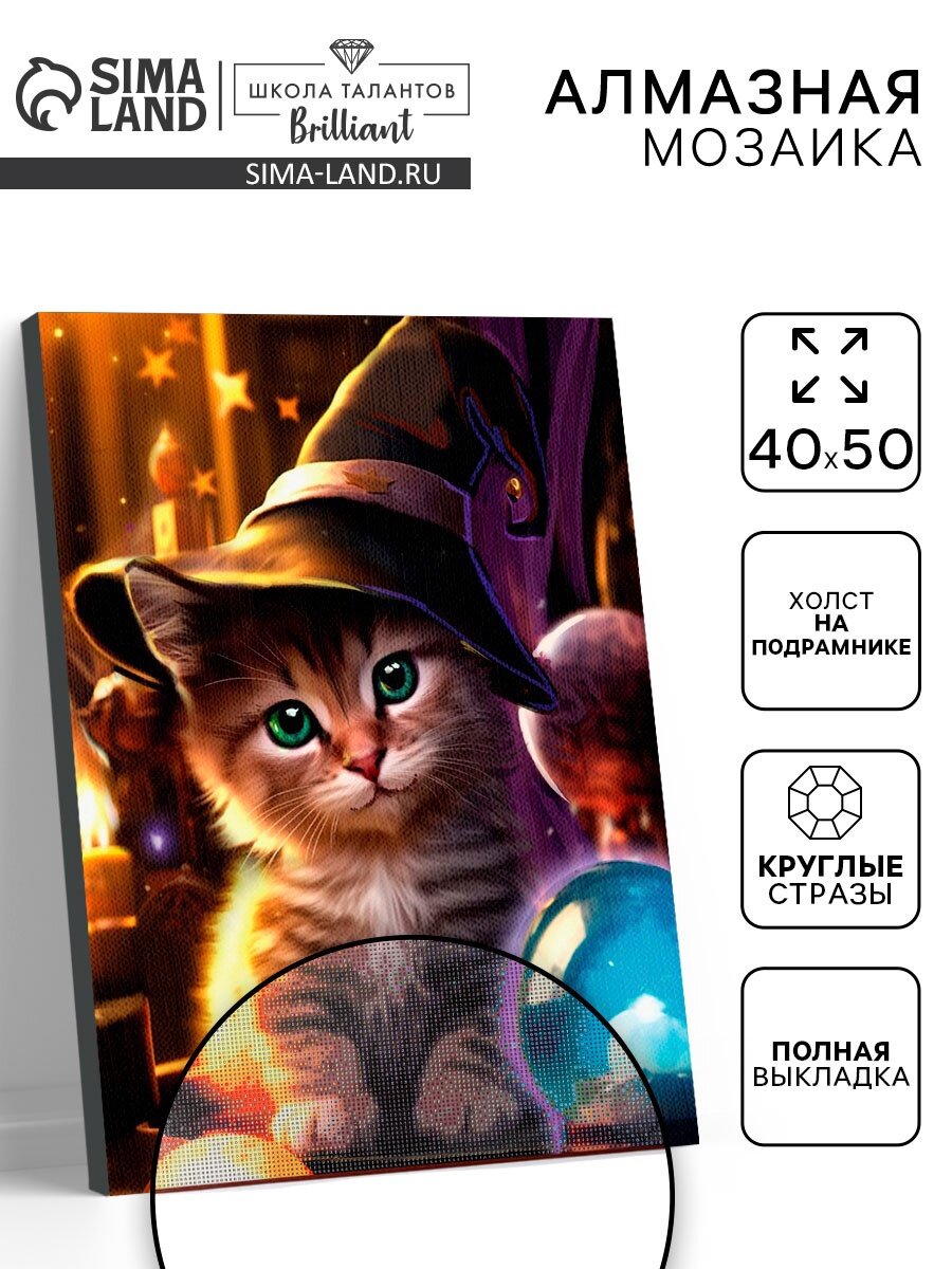 Алмазная вышивка полное заполнение «Котенок в шляпе» на раме 40×50 см