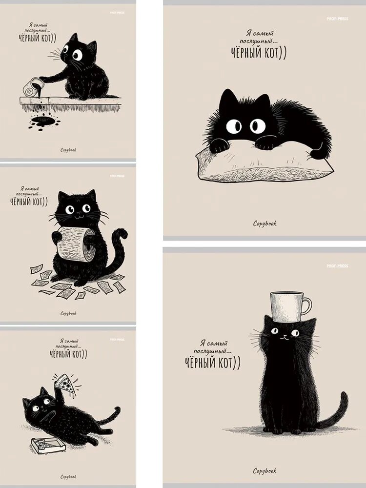 Комплект тетрадей Проф-пресс 5 шт, 48 листов, А5, клетка, дизайн "послушный черный КОТ", цветная мелованная обложка (48-4334 комплект)