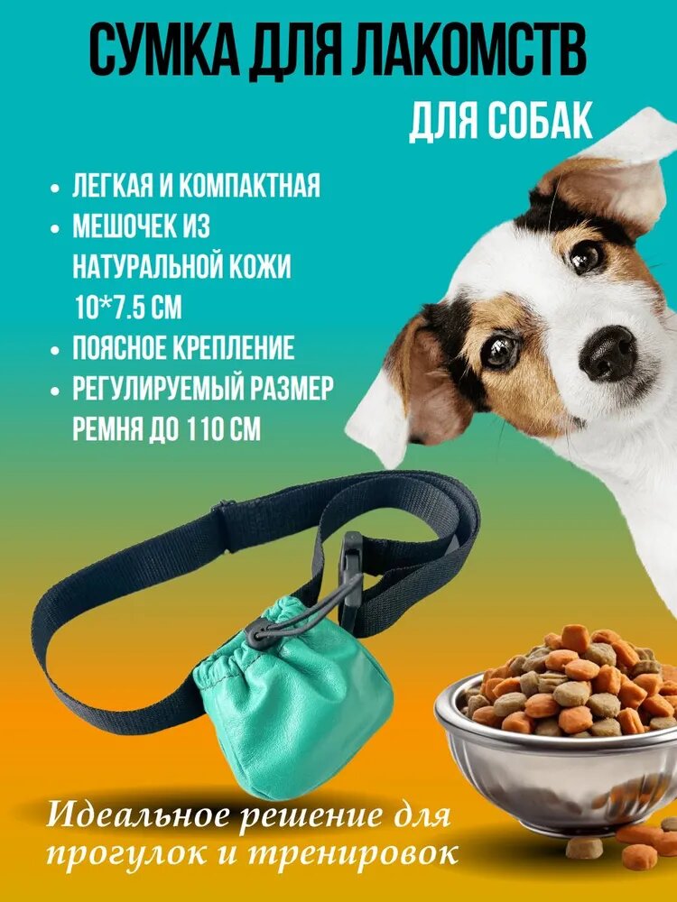 Сумка для лакомств на регулируемом поясе до 110 см с фастексом, кожаный, зеленый