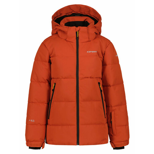 Куртка спортивная ICEPEAK Louin Jr, размер 128, красный