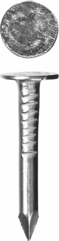 ЗУБР Гвозди с большой потайной головкой, оцинкованные, 25 х 3.0 мм, 5 кг, ЗУБР, ( 305090-30-025 )