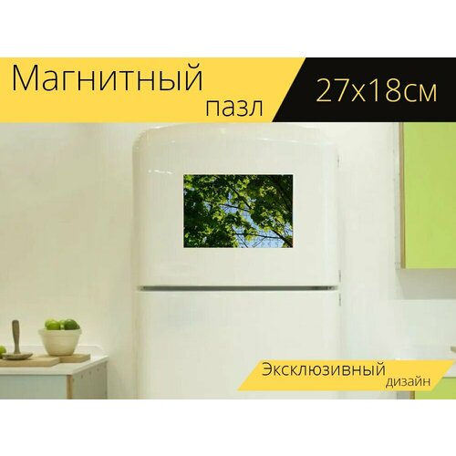 Магнитный пазл Клен норвежский, кленовые листья, лист на холодильник 27 x 18 см. магнитный пазл клен норвежский кленовые листья лист на холодильник 27 x 18 см