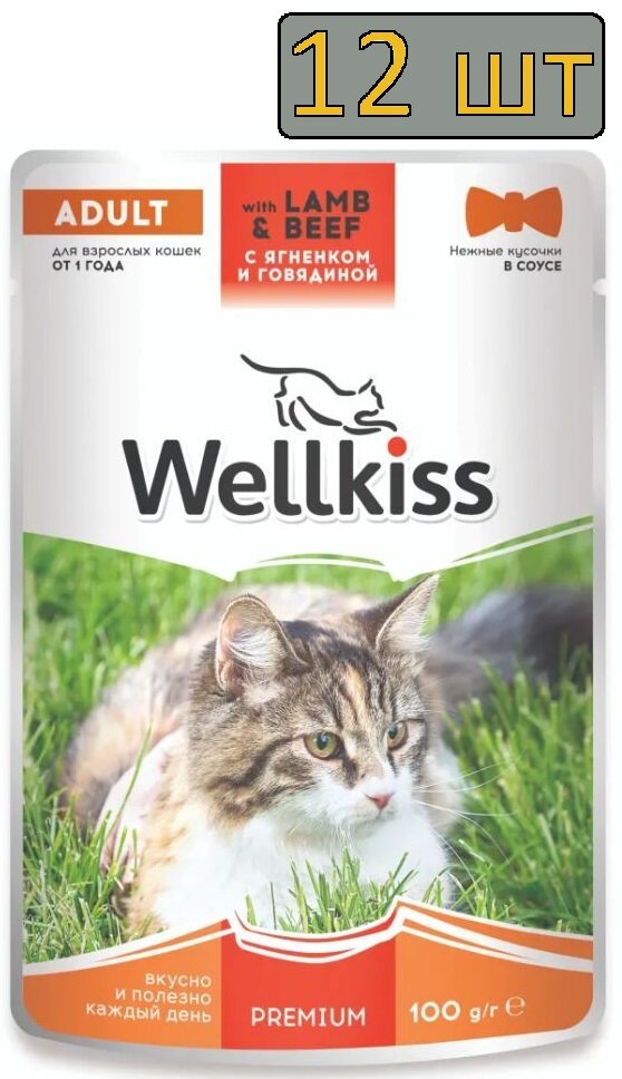 12 штук Wellkiss Adult Влажный корм для взрослых кошек, с ягненком и говядиной в соусе, 100 гр.