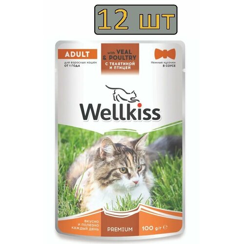 12 штук Wellkiss Adult Влажный корм (пауч) для взрослых кошек, с телятиной и птицей в соусе, 100 гр.