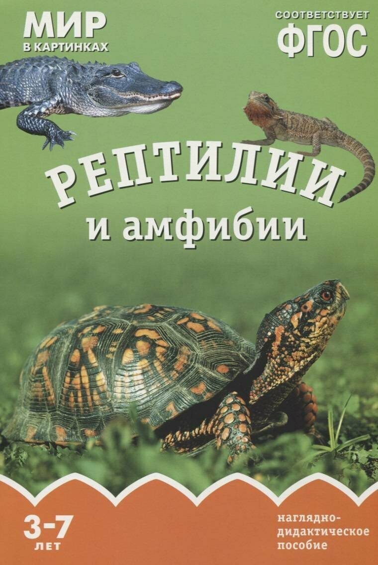 Рептилии и амфибии. Наглядно-дидактическое пособие - фото №9