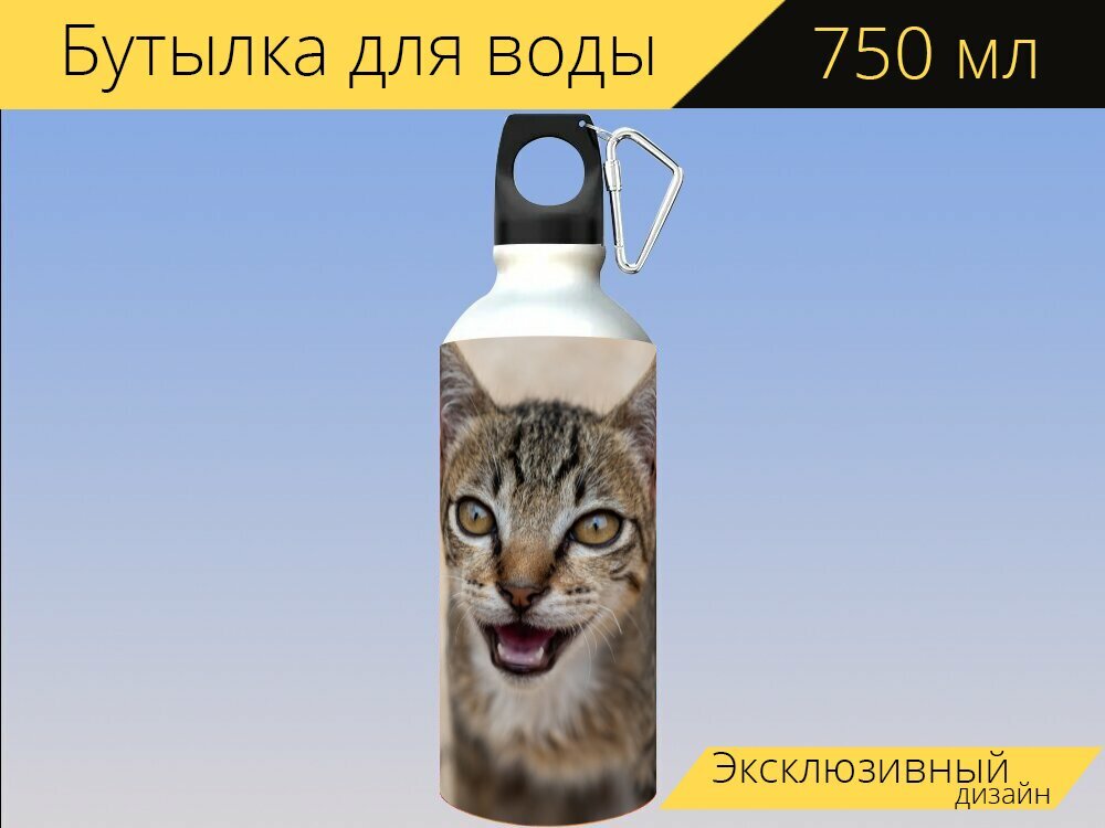 Бутылка фляга для воды "Кошка, котенок, домашний питомец" 750 мл. с карабином и принтом