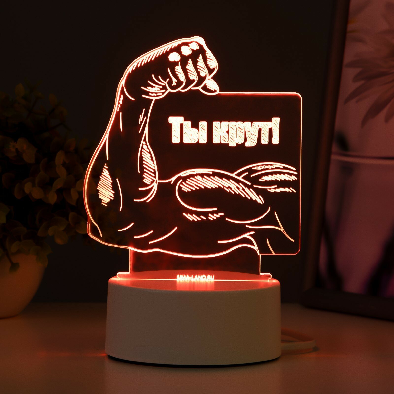 RISALUX Светильник "Ты крут" LED RGB от сети 12,8х9,5х14,5 см - фотография № 5