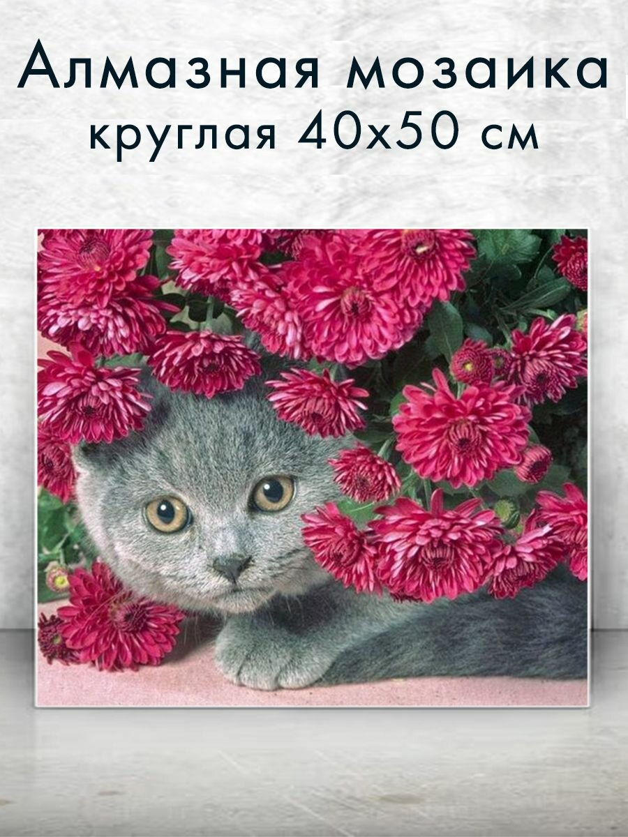 Алмазная мозаика (круглая) Котенок в цветах 40х50 см