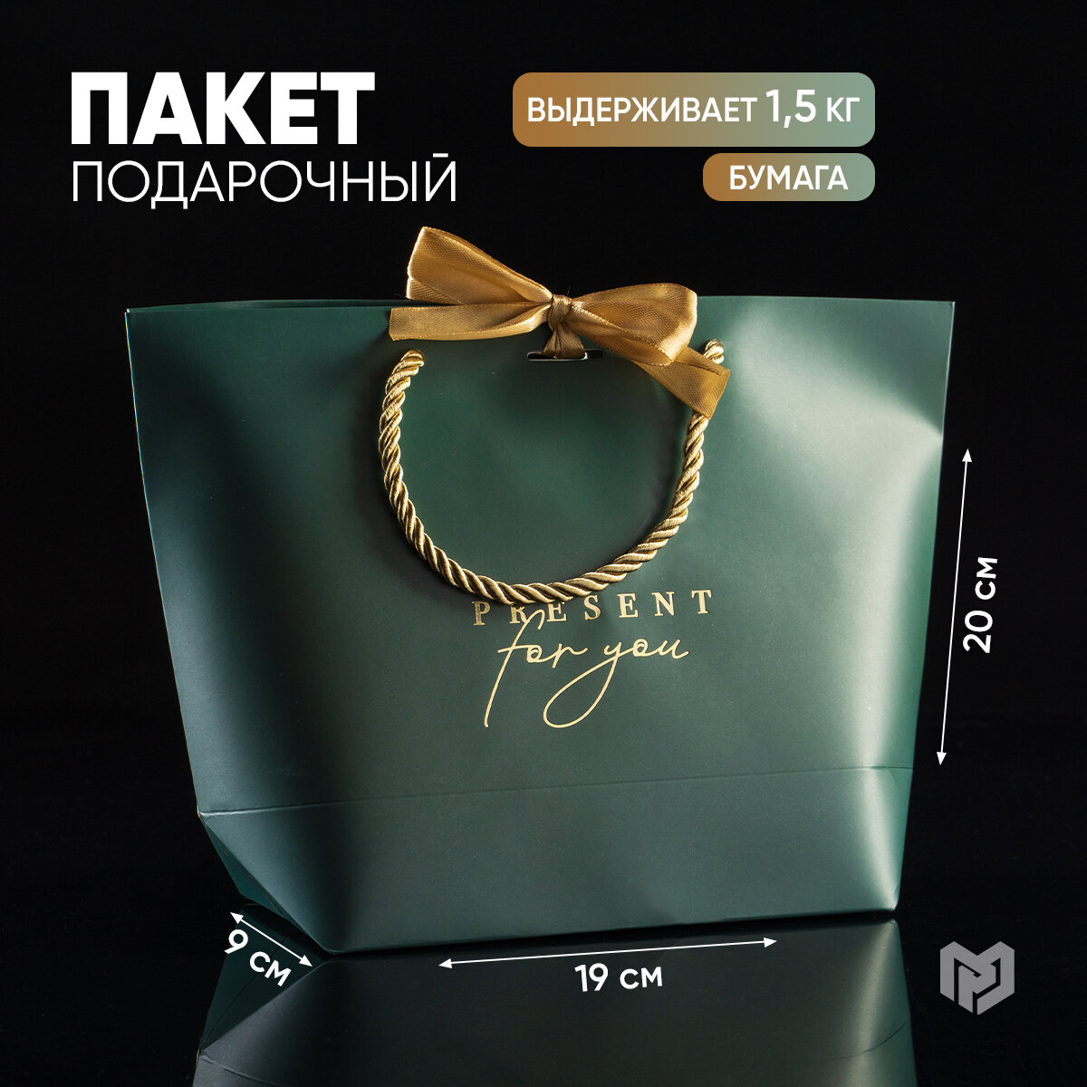 Пакет подарочный с бантом Present for you, 19 х 20 х 9 см