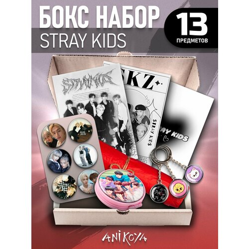 Бокс Stray Kids подарочный набор Значки Стрей Кидс брелок для ключей бокс