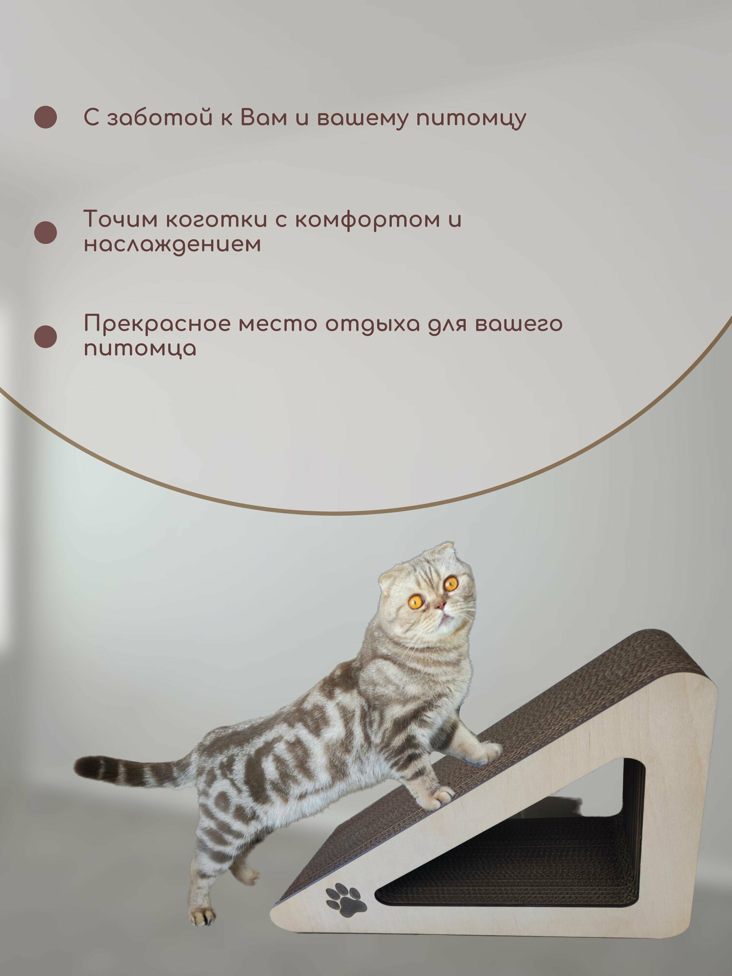 картонная когтеточка, лежанка для кошки, когтедралка - фотография № 6