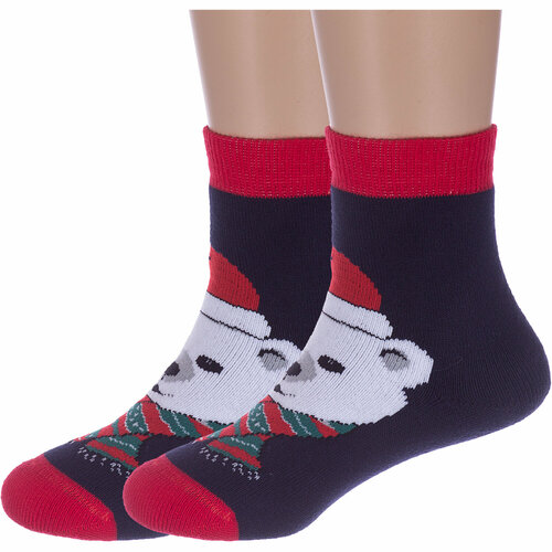 Носки Красная Ветка 2 пары, размер 14-16, синий носки красная ветка 2 пары размер 14 16 мультиколор