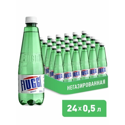 Вода минеральная Fiuggi (Фьюджи) 24 шт. по 0.5 л, негазированная, пэт